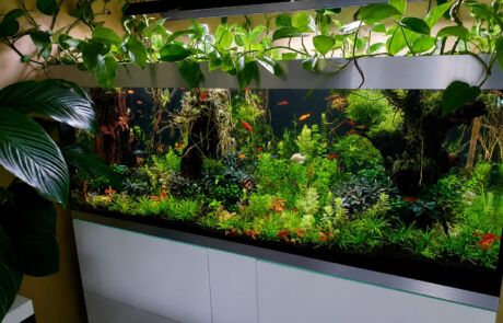 ! Forbidden Jungle (3)